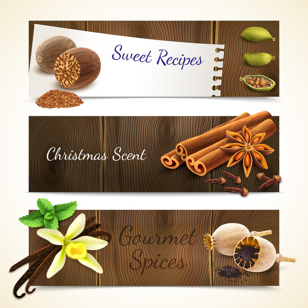 Spices banners horizontal - Vector, Image