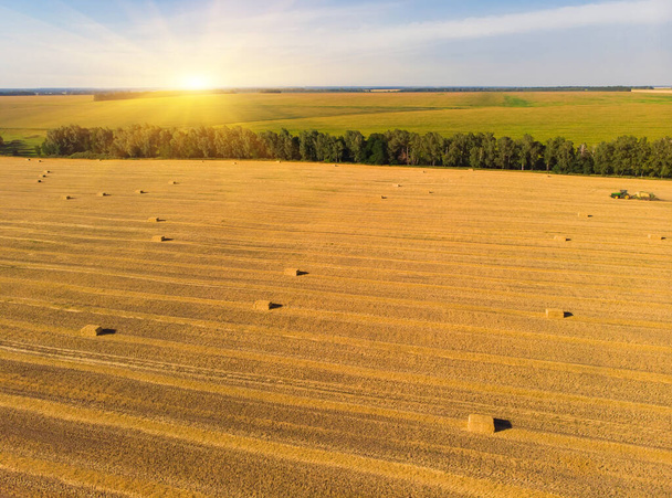 gavillas de paja en un campo de trigo vista superior. - Foto, imagen