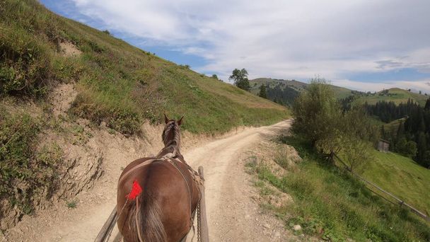 Cavalo puxa uma chaise em um caminho de sujeira em um dia ensolarado - Foto, Imagem
