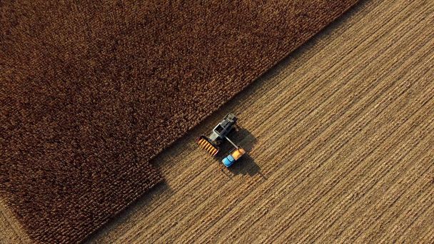 Cosechadora vierte el maíz después de la cosecha en el campo en la parte posterior del vehículo de carga - Foto, imagen