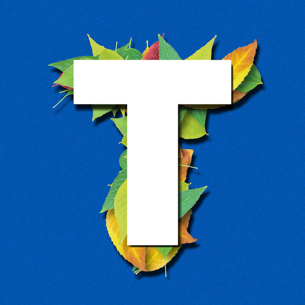 3d alphabet, white letters and shape made of leaves on blue background, 3d render, letter T - Photo, Image