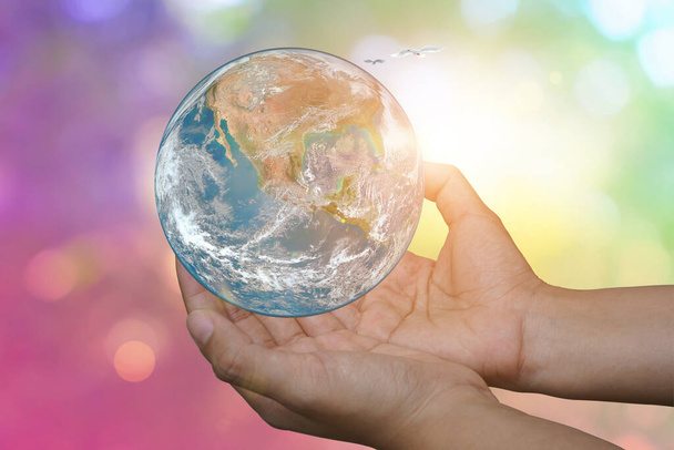 International Day of Forests and earth day concept. Hands holding blue earth globe in business hands on green blurred background for world environment day, Ecology. - Foto, Bild