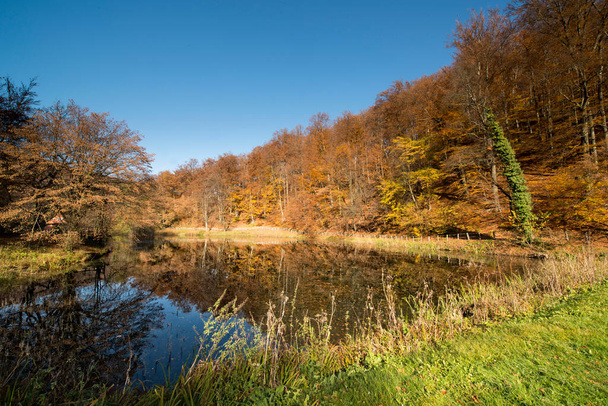 Una popular ruta de senderismo con un estanque soleado a finales de otoño con follaje colorido. - Foto, Imagen