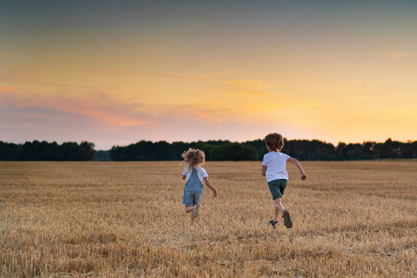 Ευτυχισμένοι και ελεύθεροι άνθρωποι, τα παιδιά τρέχουν μέσα από το χωράφι με το σιτάρι, οι άνθρωποι από πίσω - Φωτογραφία, εικόνα