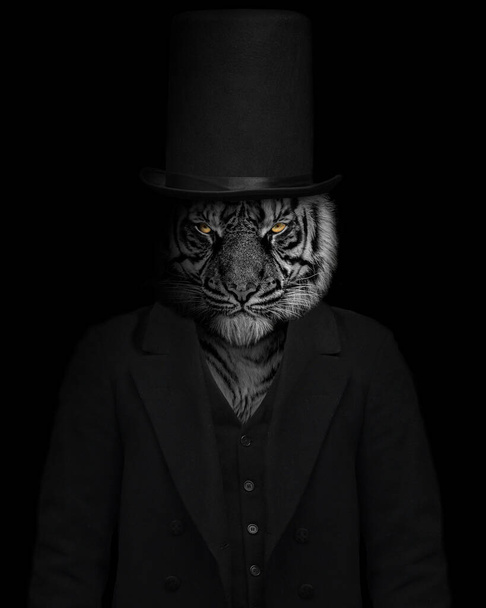 Man in the form of a Tiger mammal , The Tiger person , animal face isolated black white - Zdjęcie, obraz