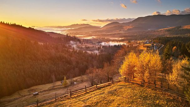 丘の上にカラフルな黄色の木。秋の山の日の出、霧の森。森の雲に覆われた。秋の田園風景。霧の谷の村。11月の寒い朝。カルパチア山脈,ウクライナ,ヨーロッパ - 写真・画像