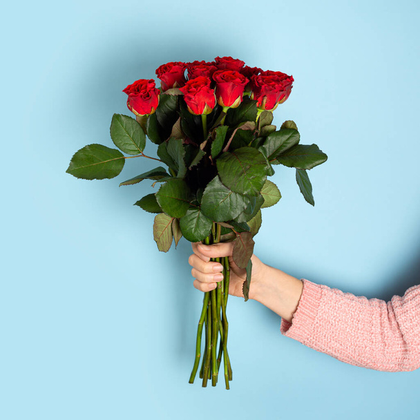 Mano sosteniendo Hermoso ramo grande de rosas rojas fondo azul claro. Banner de moda para el Día de San Valentín, Día Internacional de la Mujer o el día de las madres. - Foto, imagen