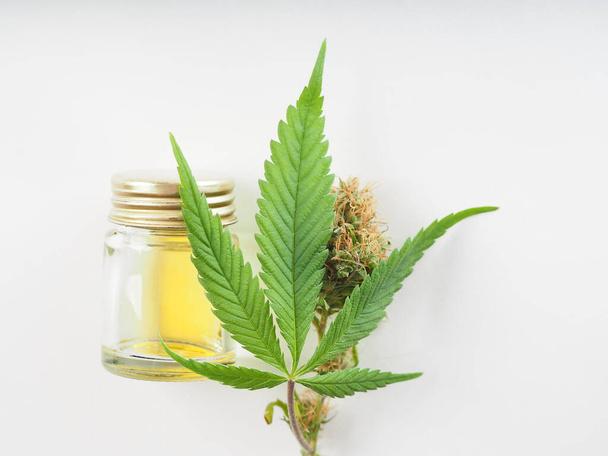 medische cannabiszaken. cbd olie en recreatieve marihuana close up - Foto, afbeelding