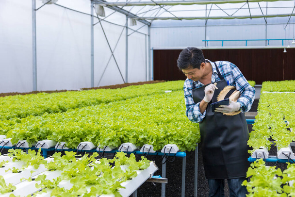 Happy asijské místní zemědělec testování ph úroveň vody v zeleném dubovém salátu salát skleník pomocí hydroponického systému v ekologickém přístupu pro rodinné podnikání - Fotografie, Obrázek