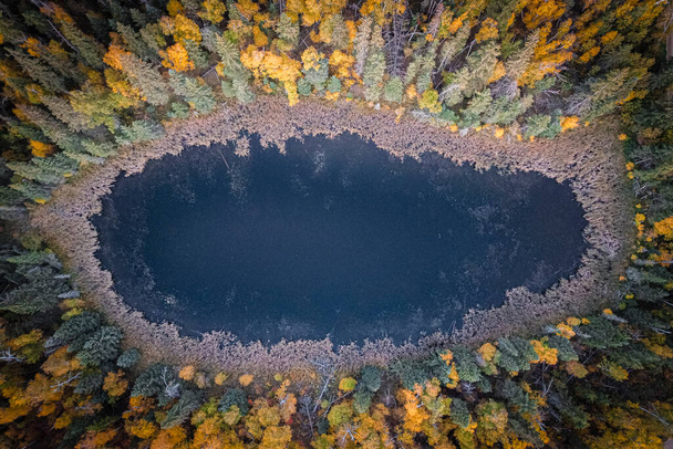 Sonbaharda Orman Aşağı Bakış - Fotoğraf, Görsel