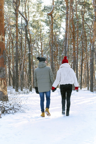 Guy and girl hold hands and walking on sunny day in snowy forest. Winter in park. Back view. Vertical frame. - Photo, Image