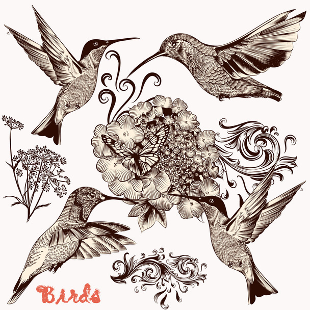 Collection of vector hand drawn birds for design - Vector, imagen