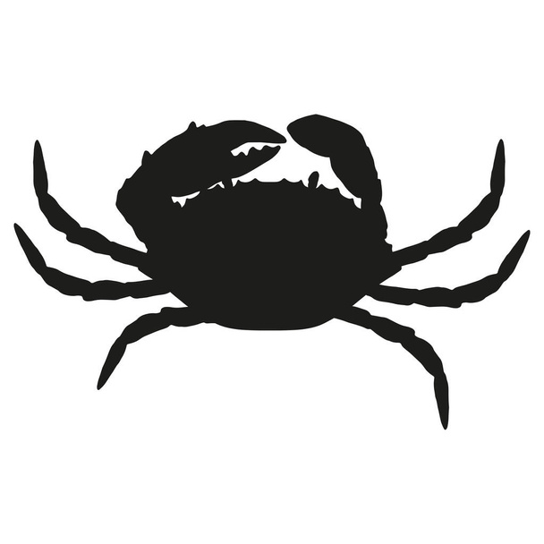 Vector black silhouette of a crab. marine animal drawing,isolated whole crab in black, sketch style drawing, top view, on white for seafood logo design template - Vektor, kép