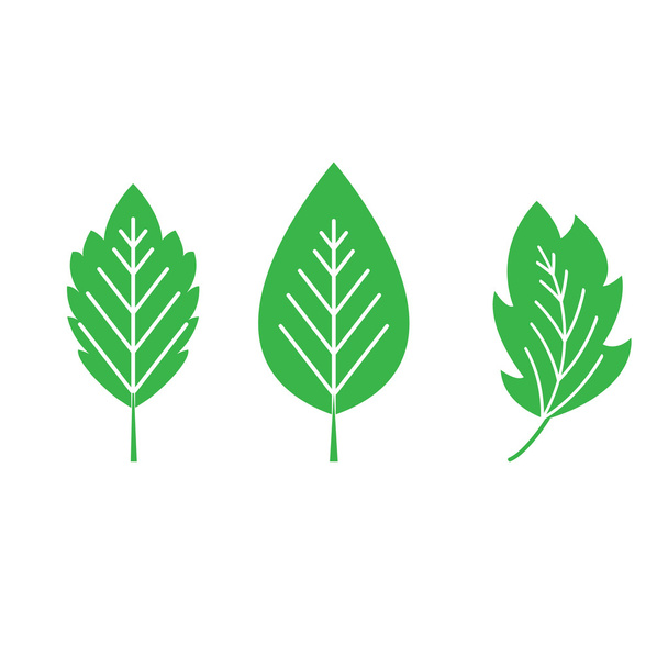 Set of green leaves design elements - Διάνυσμα, εικόνα