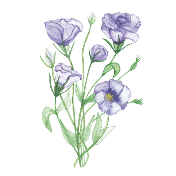 Watercolor hand painted nature floral composition with light purple blossom eustoma flowers on green stems bouquet on the white background for design elements and cards - Foto, imagen