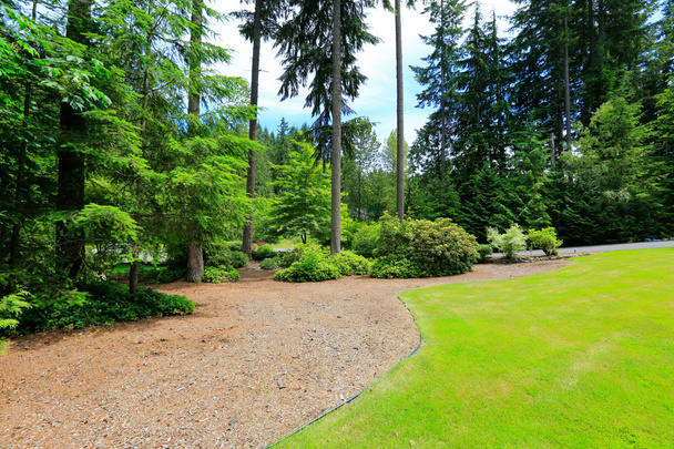 Beautiful landscape design. Washington state - Фото, изображение