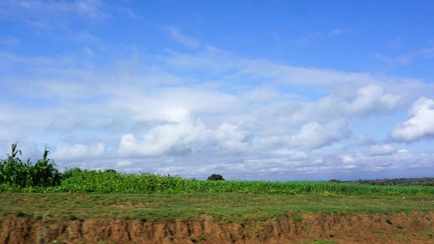 verschwommenes Bild ländlicher Landschaften in Kenia, grüne Felder mit blauem Himmel und weißen Wolken - Foto, Bild