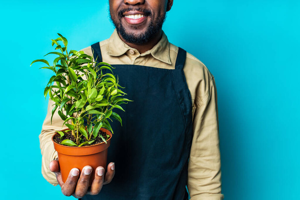 multicultural race man in black apron taking care of flowers blue background - Foto, Bild