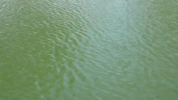 Кадри озерної води, що рветься на вітрі
 - Кадри, відео