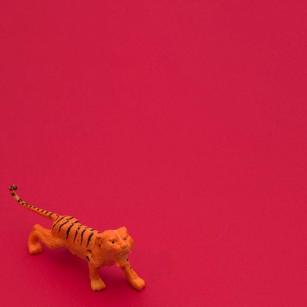 Tiger on a red background wallpaper with copy space. Minimai scene. - Foto, afbeelding