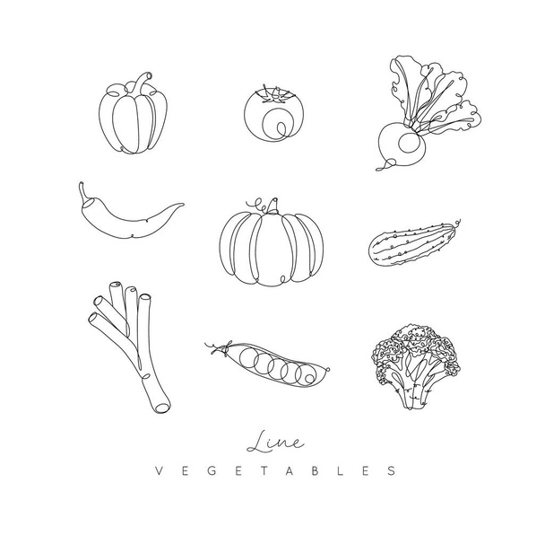 Овочеві ікони перець, помідор, буряк, чилі, гарбуз, огірок, цибуля-порей, горох, брокколі на руці стиль малювання ліній на білому тлі
 - Вектор, зображення