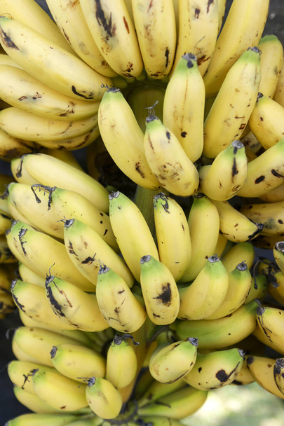 Banana kind gold, Musa spp, to sale on open air market on Sao Paulo city, Brazil - Photo, Image