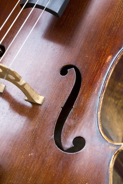 Close up of violoncello - Photo, Image