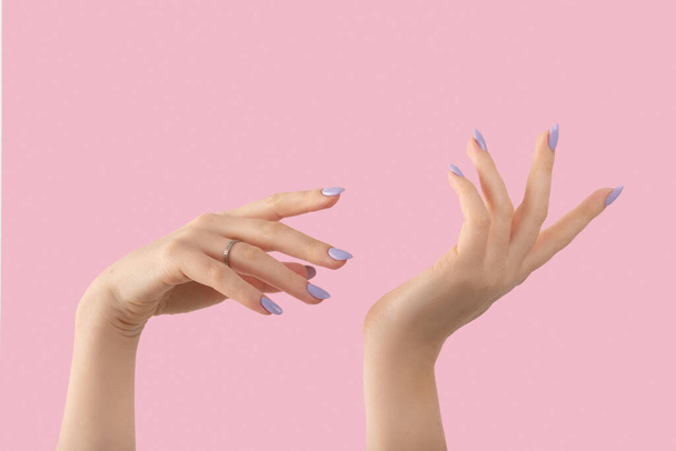 Hands of a beautiful well-groomed with feminine violet lavender nails gel polish on a pink background. Manicure, pedicure beauty salon concept. - Foto, Imagen
