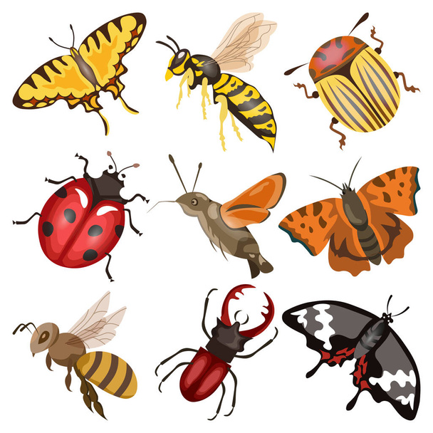 Grande conjunto de insetos, abelha, vespa, borboleta, traça, joaninha, cachecol. Design gráfico, ícones de animais - Vetor, Imagem