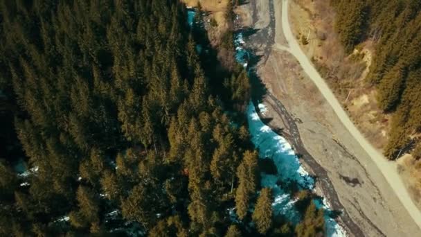 Berge Nadelwald Luftaufnahmen Drohne aus einer Höhe Ukraine Karpaten - Filmmaterial, Video