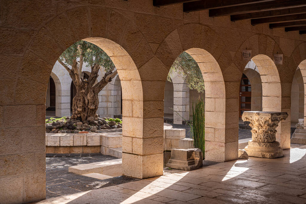 Courtyard area of Tabgha or The Church of the Multiplication of the Loaves and Fishes also called Church of the Loaves and Fishes or Tabgha on the Sea of Galilee in Israel - Photo, Image