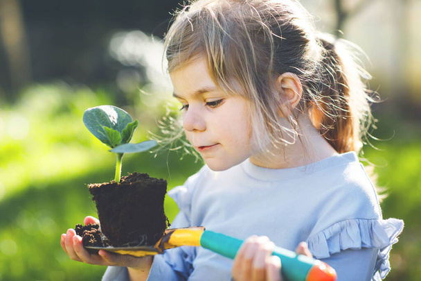Close-up of little toddler girl holding garden shovel with green plants seedling in hands. Cute child learn gardening, planting and cultivating vegetables herbs in home garden. Ecology, organic food. - Фото, изображение