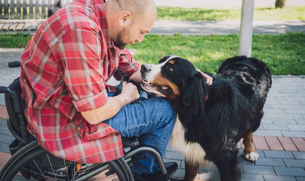 Happy young man with a physical disability who uses wheelchair with his dog. - Zdjęcie, obraz