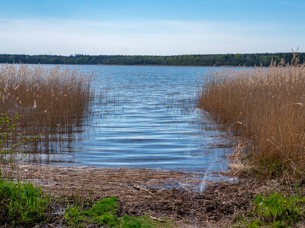 Ufer eines Sees in der Mecklenburgischen Seenplatte - Foto, Bild