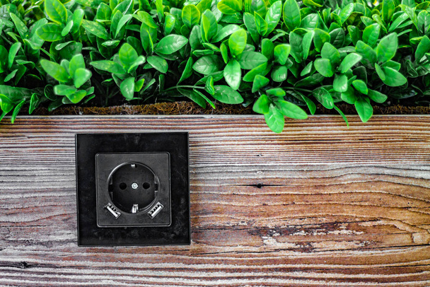 a black rosette in a wooden panel behind which plants; the concept of consuming natural energy or phyto wall - Zdjęcie, obraz