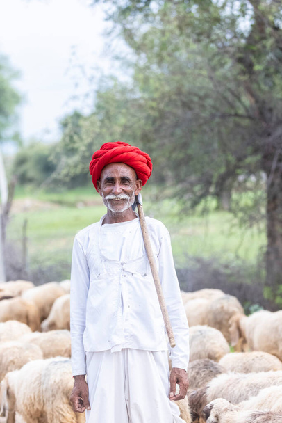 Jawai, Rajasthan, Índia - Setembro de 2021: Retrato de um pastor masculino do grupo étnico Rabari em um cocar nacional e vestido branco tradicional e turbante vermelho no campo de Jawai. - Foto, Imagem