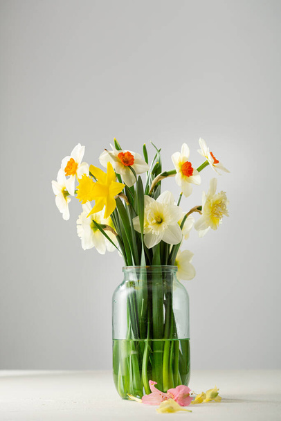 Set of spring narcissus in glass jar - Foto, immagini