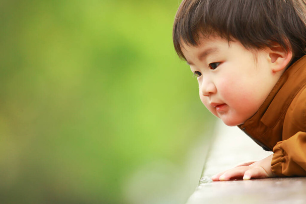 portrait of a cute little boy in green park - Photo, Image