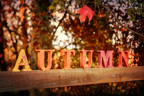 sonbahar harfler - Fotoğraf, Görsel