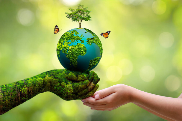 Concept Save the world save environment Ο κόσμος είναι στο γρασίδι του πράσινου φόντο bokeh - Φωτογραφία, εικόνα