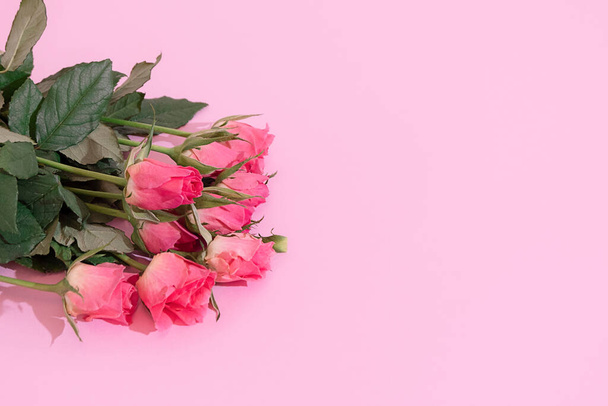 Fresh pink roses on pastel pink background with copy space - Foto, Imagen