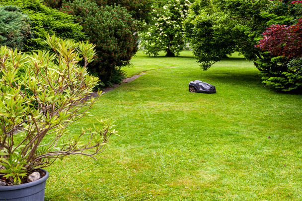 Robotik çim biçme makinesi bahçe çimlerini biçiyor - Fotoğraf, Görsel