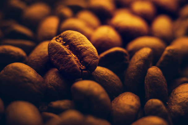 Close-up of coffee bean against rest of beans. Macrophotography with selective focus. Hot beans of aromatic coffee. - Photo, Image