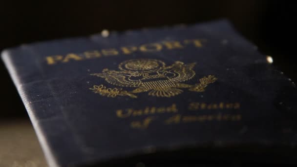 paspoort van een Verenigde Staten van Amerika - Video