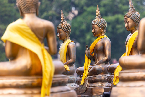 Buda heykelleri Seema Malaka Tapınağı, Colombo, Sri Lanka. - Fotoğraf, Görsel