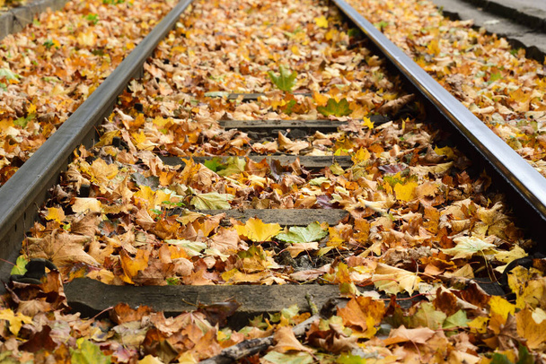 Színes őszi levelek fekszenek a földön a sínek között, és gyönyörű hátteret alkotnak a sínek mellett, amit láthatnak a bal és jobb oldalon. - Fotó, kép