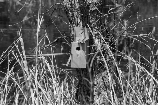 Foto en blanco y negro de una casa de pájaros hecha por el hombre en el árbol en el país de Nebraska  - Foto, imagen