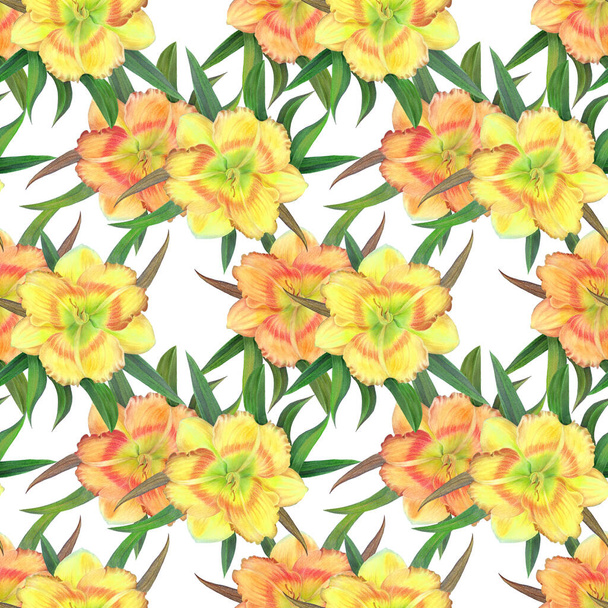 Blumen auf einem Aquarell-Hintergrund. Gelbe Taglilie. Aquarelltapete mit floralen Motiven. Nahtloses Muster florales Aquarell. Aquarellblumen.  - Foto, Bild