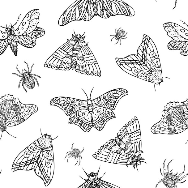 Patrón sin costuras de mariposas nocturnas y arañas. ilustración dibujada a mano - Vector, Imagen