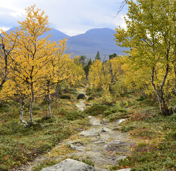 Mountain in autumn - Foto, afbeelding